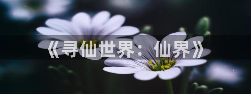 玩庄闲最科学的押法：《寻仙世界：仙界》