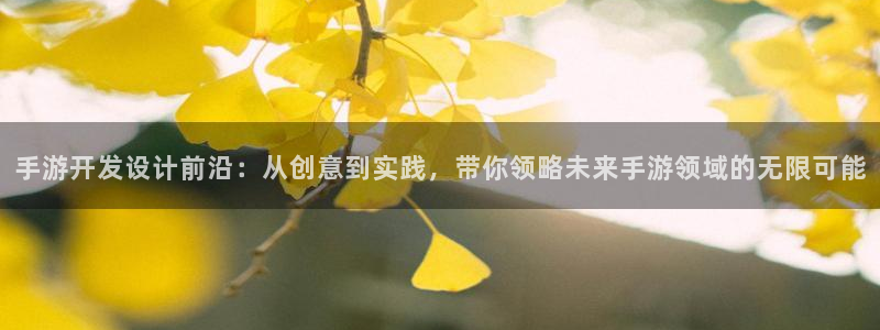 庄闲游戏规则详解及注意事项:手游开发设计前沿:从创意到实践,