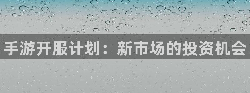 神奇的公式庄闲庄庄闲怎么使用：手游开服计划：新市场的投资机会