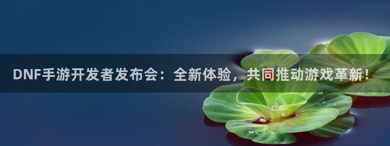 庄闲游戏网站：DNF手游开发者发布会：全新体验，共同推动游戏