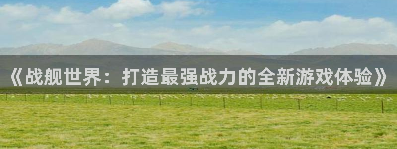 庄闲游戏app官方：《战舰世界：打造最强战力的全新游戏体验》