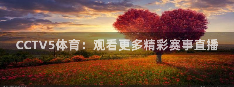 新球体育足球：CCTV5体育：观看更多精彩赛事直播