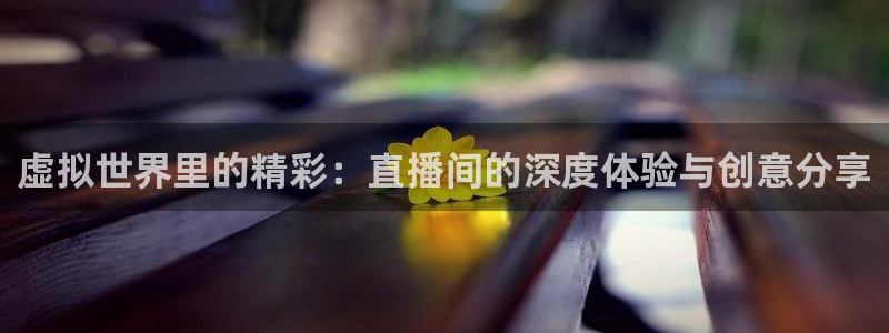 新球网直播：虚拟世界里的精彩：直播间的深度体验与创意分享